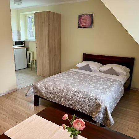 Skarbiec Liczyrzepy - 100m Od Deptaka! 卡尔帕奇